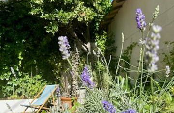 Bord de mer, magnifique appartement de 150m2 avec jardin - Foto 18