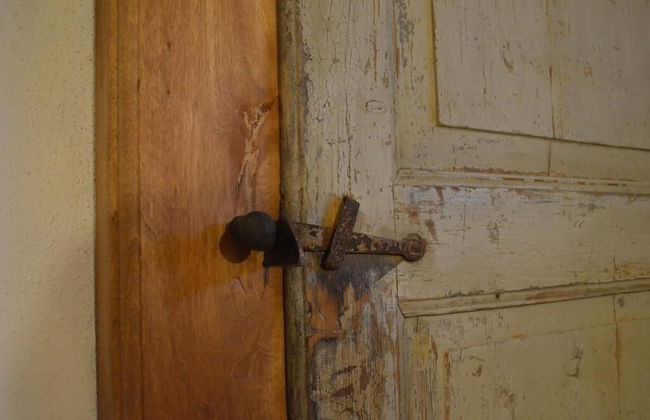 Agriturismo Cipolli e Podò Corte Carlini - Foto 37