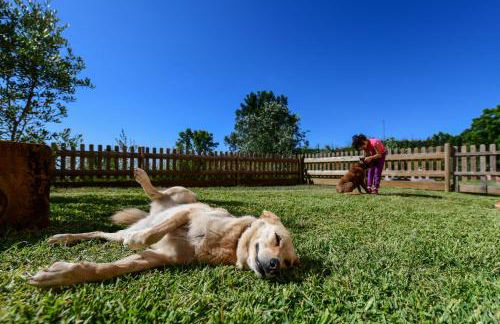 Vale do Ninho Nature Houses - Foto 8