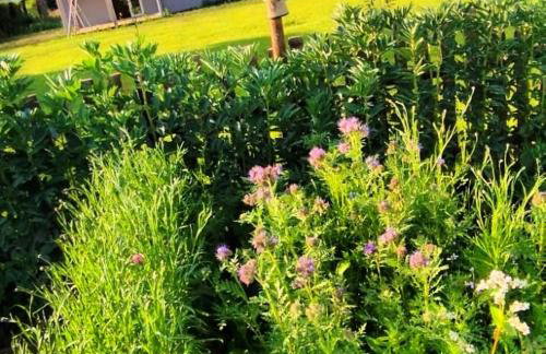 Żurawisko - Domki wśród natury - Foto 74