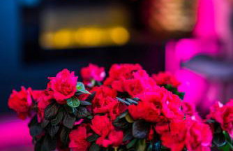 GLAMOUR - Restaurant & SPA - Foto 58