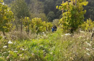 Apartment Lollo - Foto 26