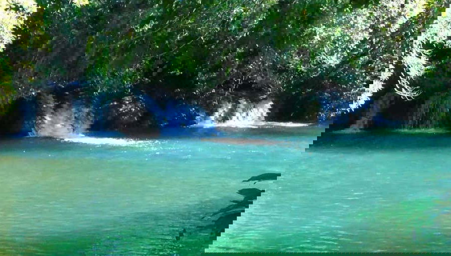 Passeio de barco pelo rio Formoso