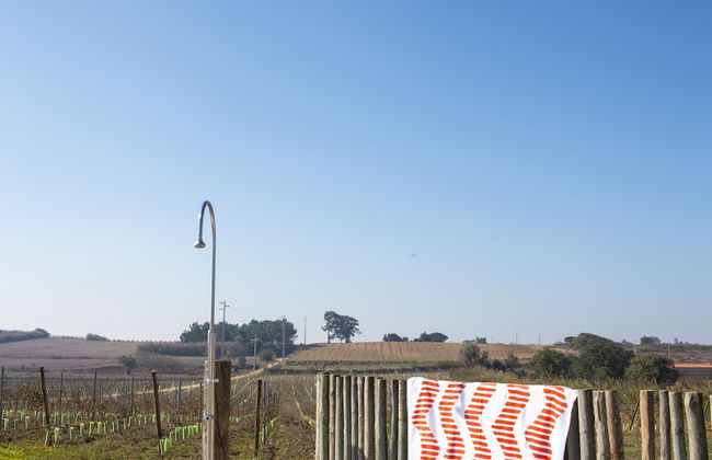 Entre Vinhas & Mar - Foto 66