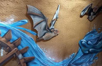 Ferienwohnung in der Vulkaneifel - Photo 27