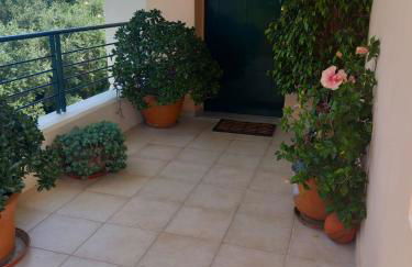 Fox's Sunshine - Foto 37