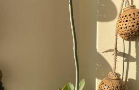 Salento Casa Vacanza Il Focolare - Foto 39