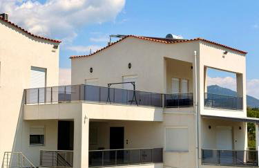 Platan Paradise - Foto 5