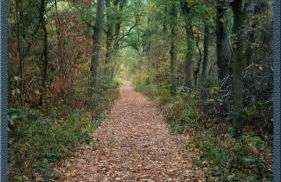 Ferienhäuser Pannier III und IV Doppelhaushälften - Foto 66