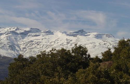Cortijo Prado Toro - Foto 50
