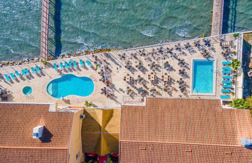 Beso del Sol Resort in Dunedin - Perfect Location & Relaxation! - Photo 1
