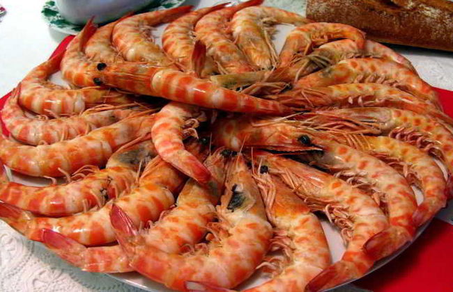 Leo Punta Umbria - Foto 48