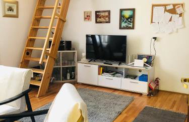 Kod Basaričeka - Photo 21