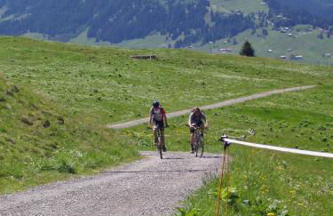 Gästehaus zur Färbe Apartments - Photo 22