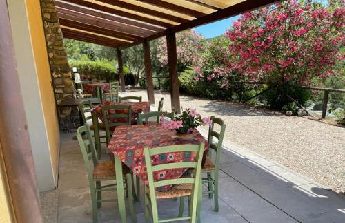 Agriturismo a Canonica - Foto 65