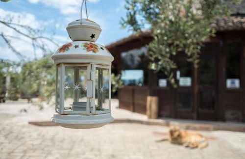 Villa de Luccheri - Foto 58