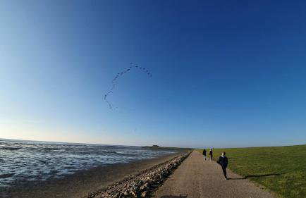 Reetdachhaus Moordeichperle - Photo 31