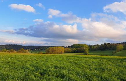 Dom Gościnny Zarembianka - Foto 41