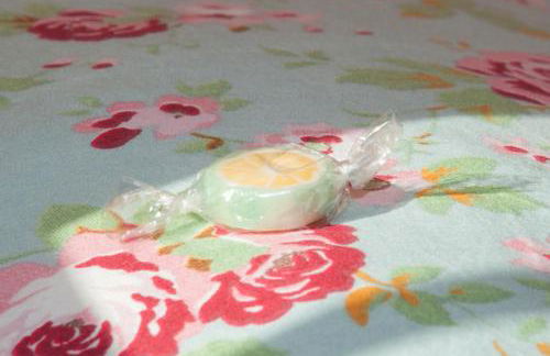 Hagwaldhof - Foto 20