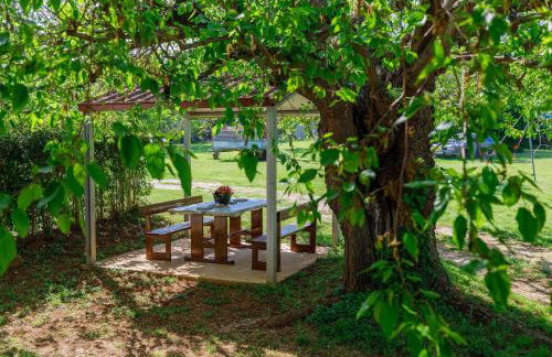 Apartment Vesela-1 by Interhome - Foto 15