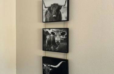 San Diego Trail Guest Ranch - Foto 27