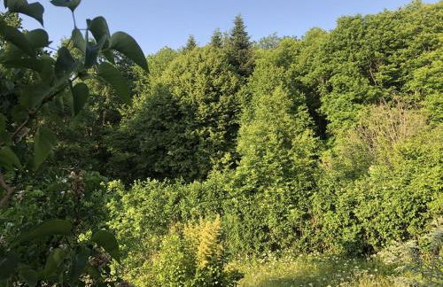 Gîte de la Colombière - Foto 20