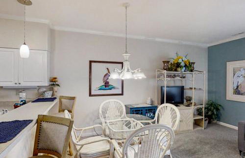 Scotch Broom E-104 - Foto 15