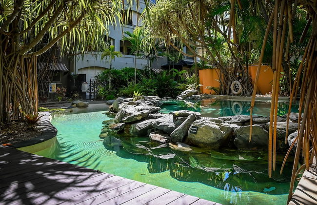 Tropical Bliss - Cairns 9 Pools BBQ Gym - Foto 34