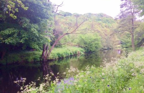 Cosy and unique Thatched Cottage on Dartmoor - Foto 15