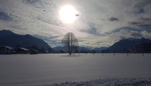 Shania Residence - Foto 3