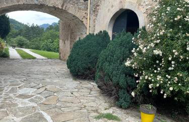 Studio avec terrasse dans mas historique cevenol - Foto 41