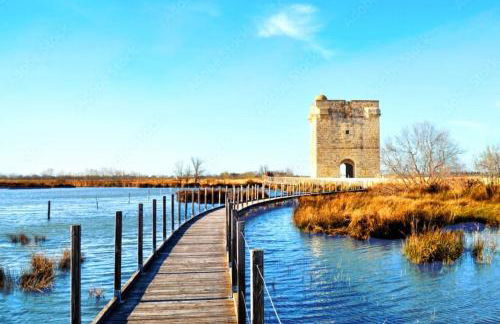Charmant appartement au calme situé en Camargue - Foto 14
