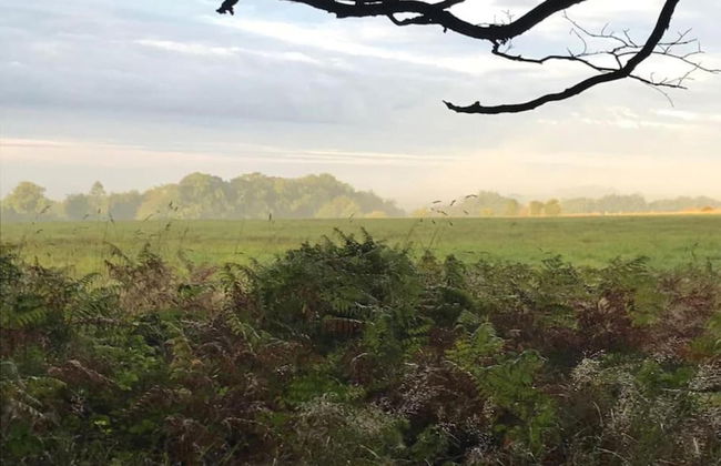 Shepherds Hut Near Exmoor National Park - Foto 36