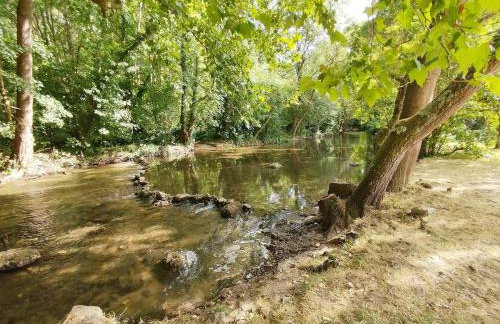 Les Studios Grenouilles - Foto 6