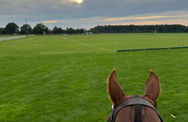 Gut Aspern Polohof - Foto 72