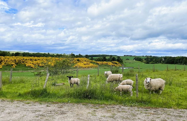 Deveron Valley Cottages - Foto 28
