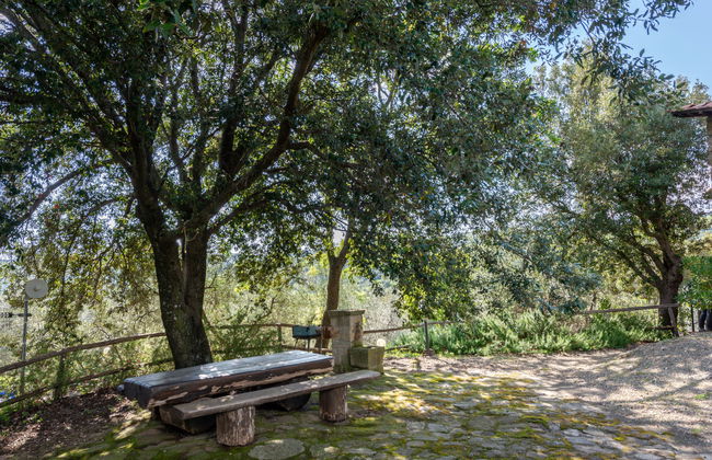 Fonte al Tesoro - Foto 33