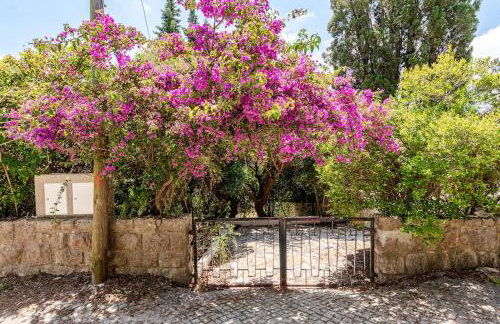 Beautiful view and beach access - Casa Maloney Arrabida - Foto 15