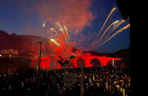 Philosophen und Neckarblick Apartment - Foto 13