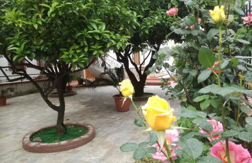 CasaAltieri - Photo 29