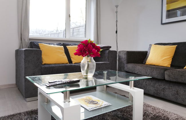 Mega Shelley - Foto 14