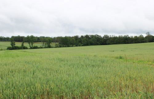 Maison au calme avec grand jardin et tout confort en Charente Limousine - FR-1-653-133 - Foto 12