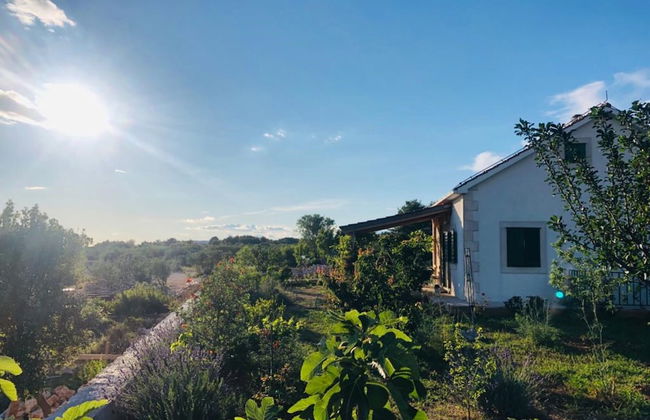 New Modern House in a Quiet Island Area w. Garden - Foto 20