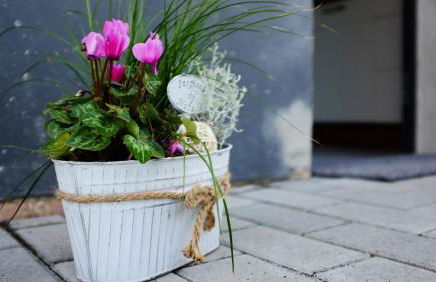 Manus Ferienwohnung - Foto 1