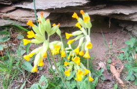 Baita Carlito - Photo 66