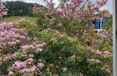 AP Novo, Cama Queen Size Nova no Centro de Blu - Foto 7