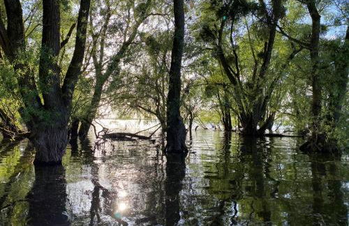 Les Cottages d'Orient Gite Boutique - Foto 27