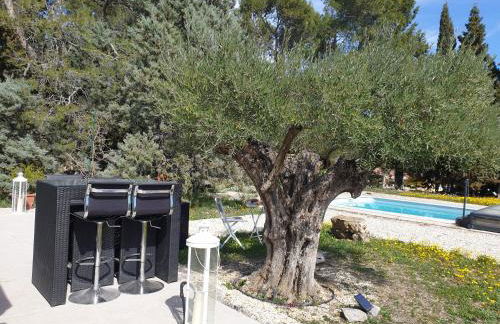 La Pinède - Foto 21