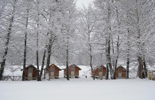 Farma Sotira - Foto 66