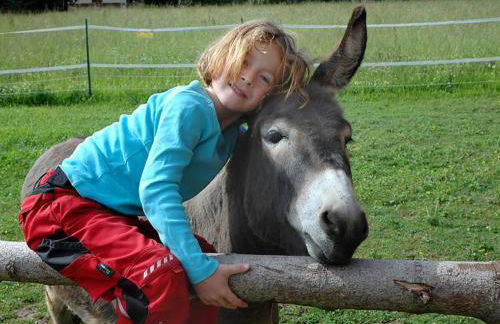 Bio-Ferienhof Scheckenbauer - Foto 31